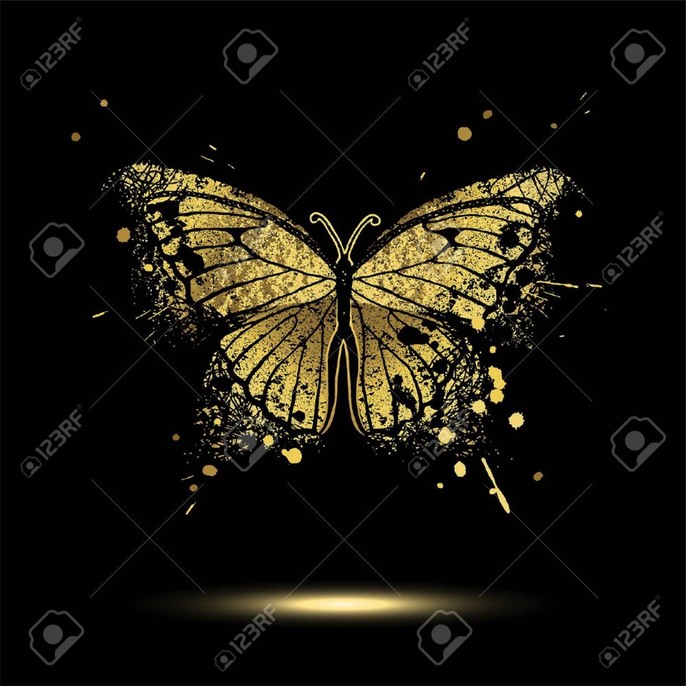 Желтая бабочка на черном фоне