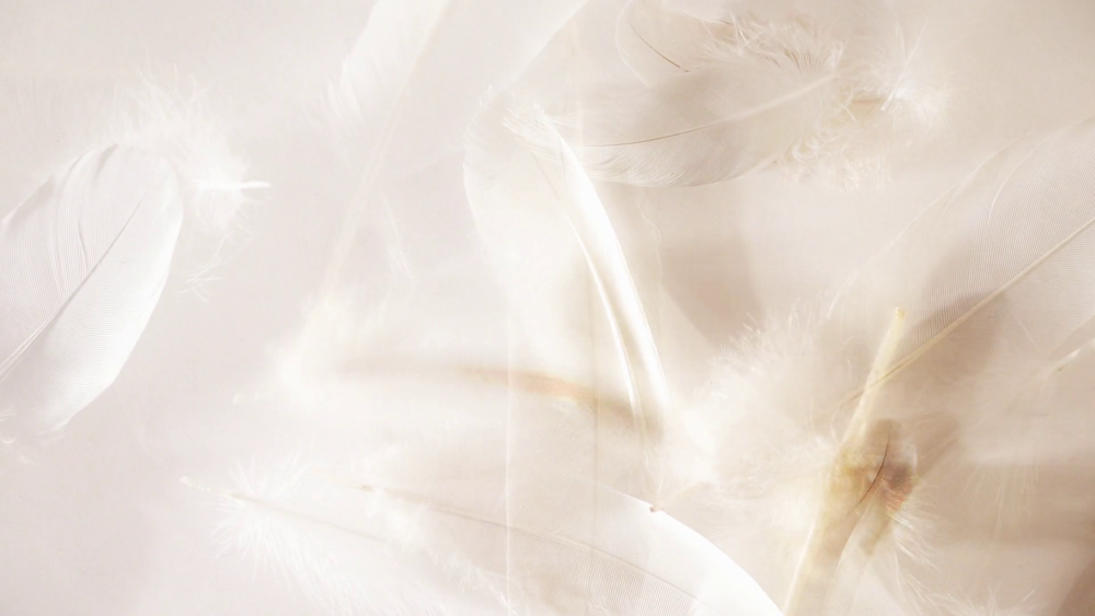 Фон бежевый нежный