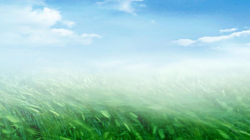 Фон для презентации ветер