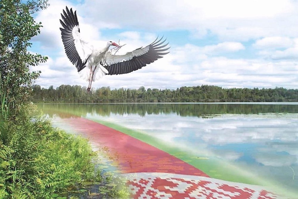 Моя Родина Беларусь