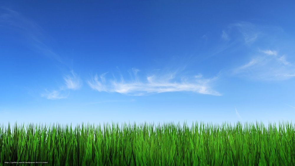 Фоновое изображение