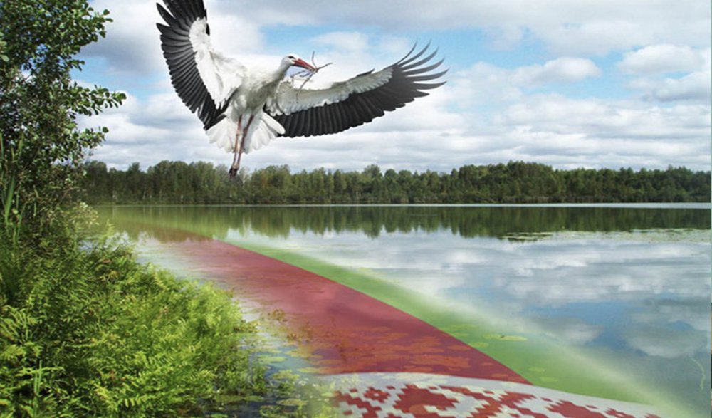 Аист над Беларусью