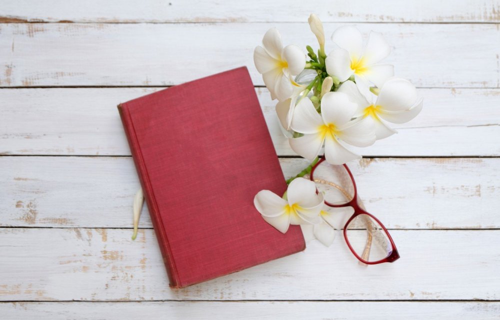Цвет книги фон
