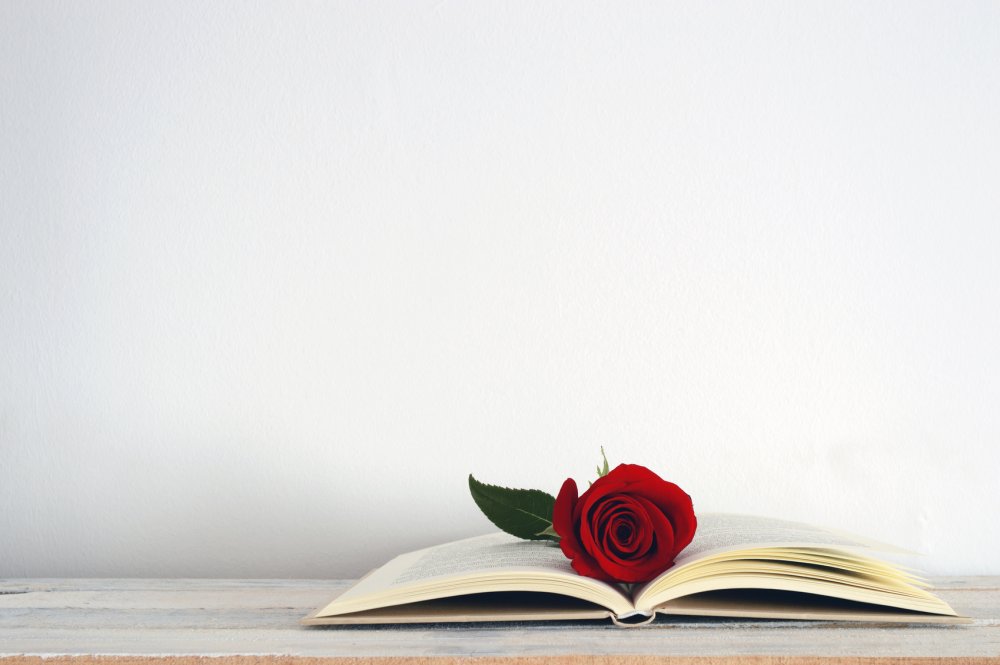 Фон с открытой книгой розовый