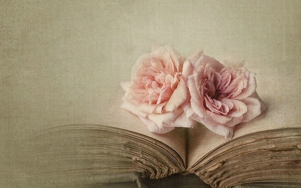 Винтажный фон с книгами