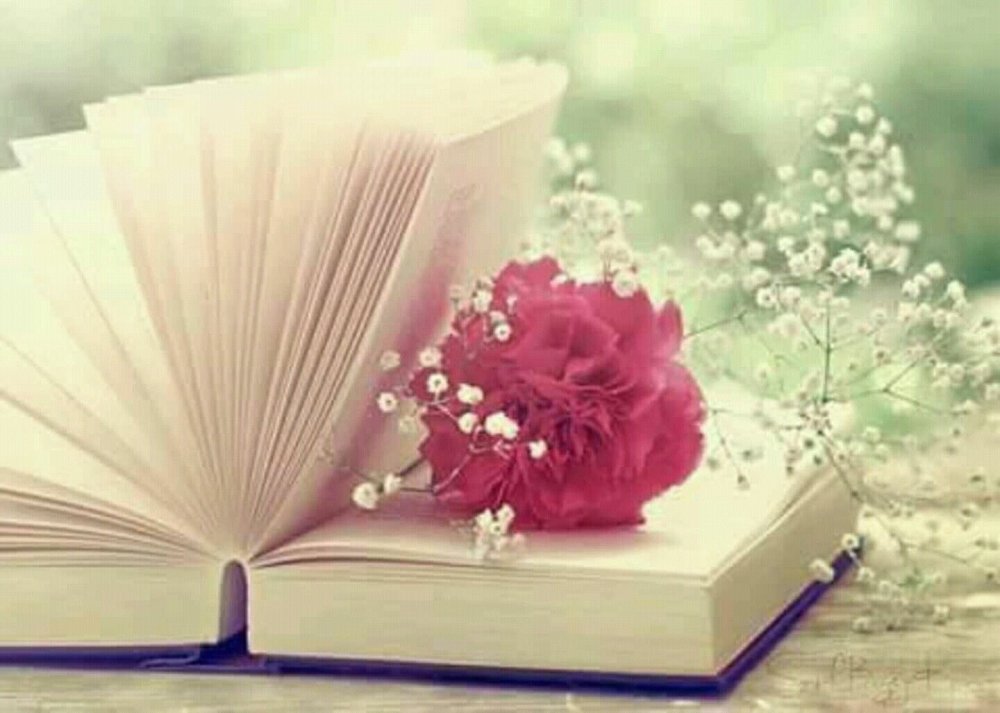 Книга про цвет