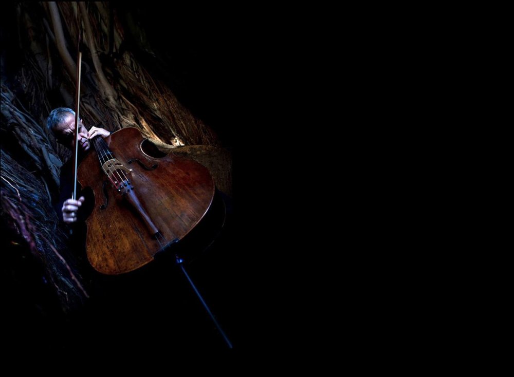 Абстрактная скрипка