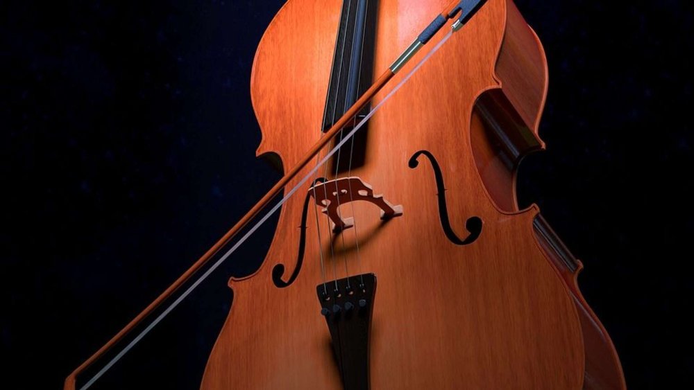 29 Декабря день виолончели