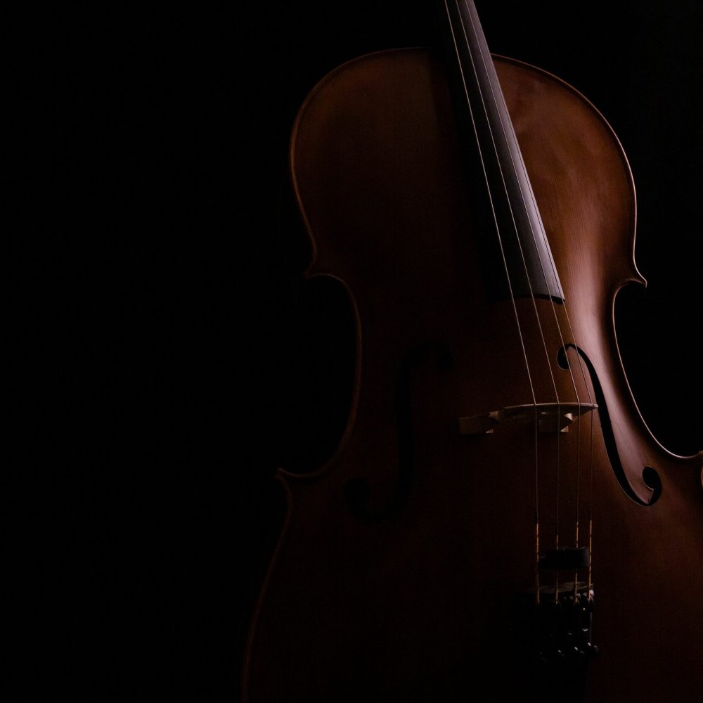 Контрабас на черном фоне