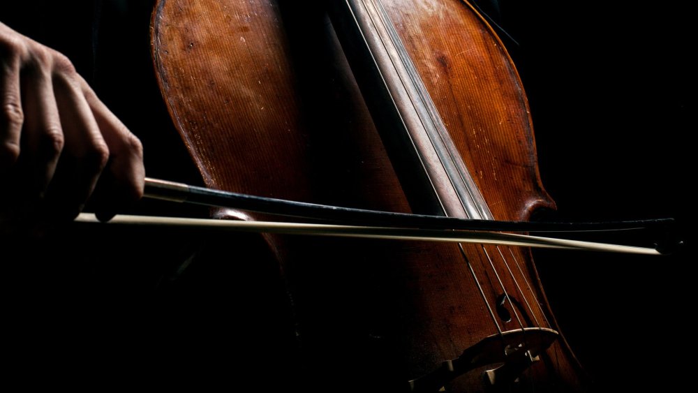 Виолончель в руках