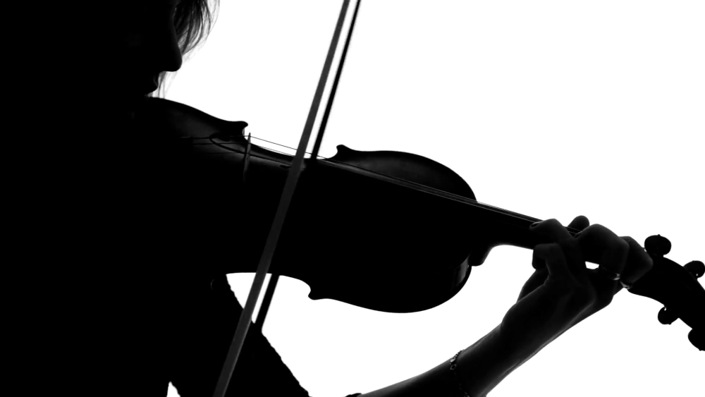 Скрипачка силуэт