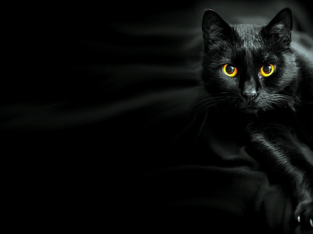 Черная картинка