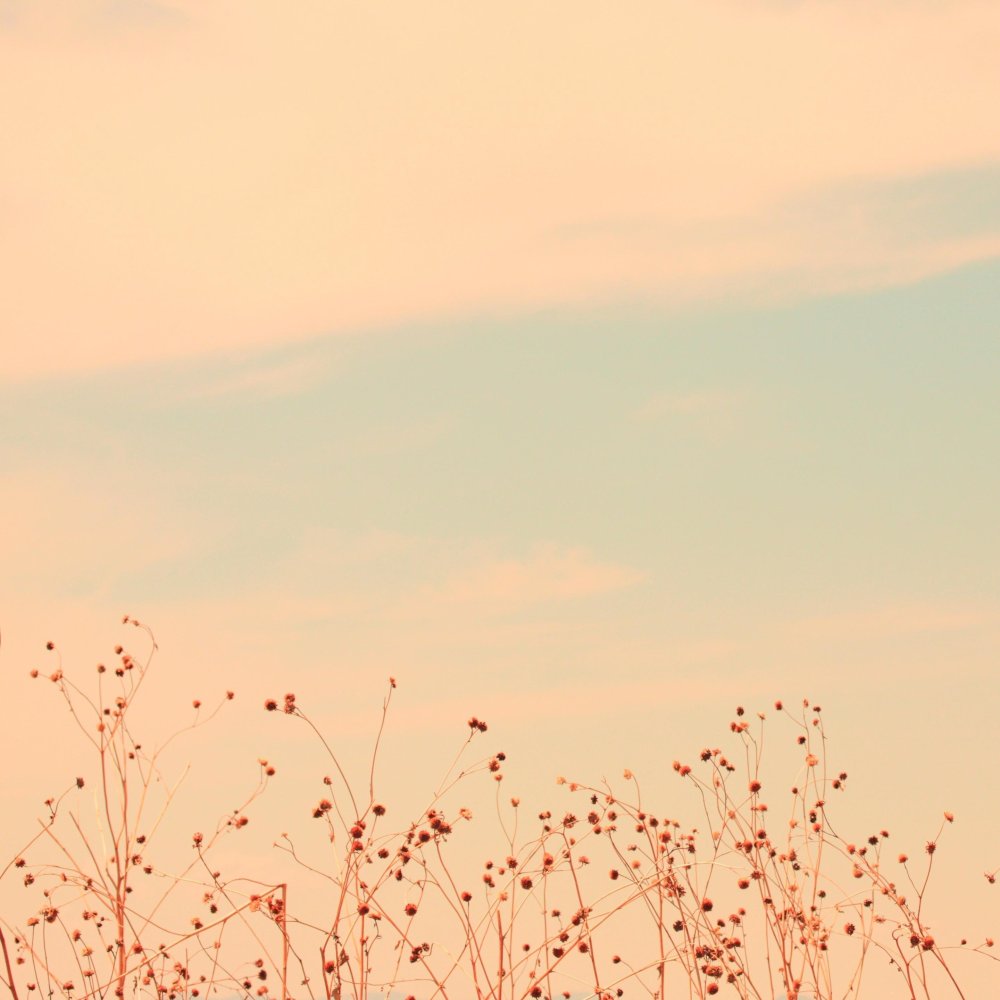 Фон для твиттера