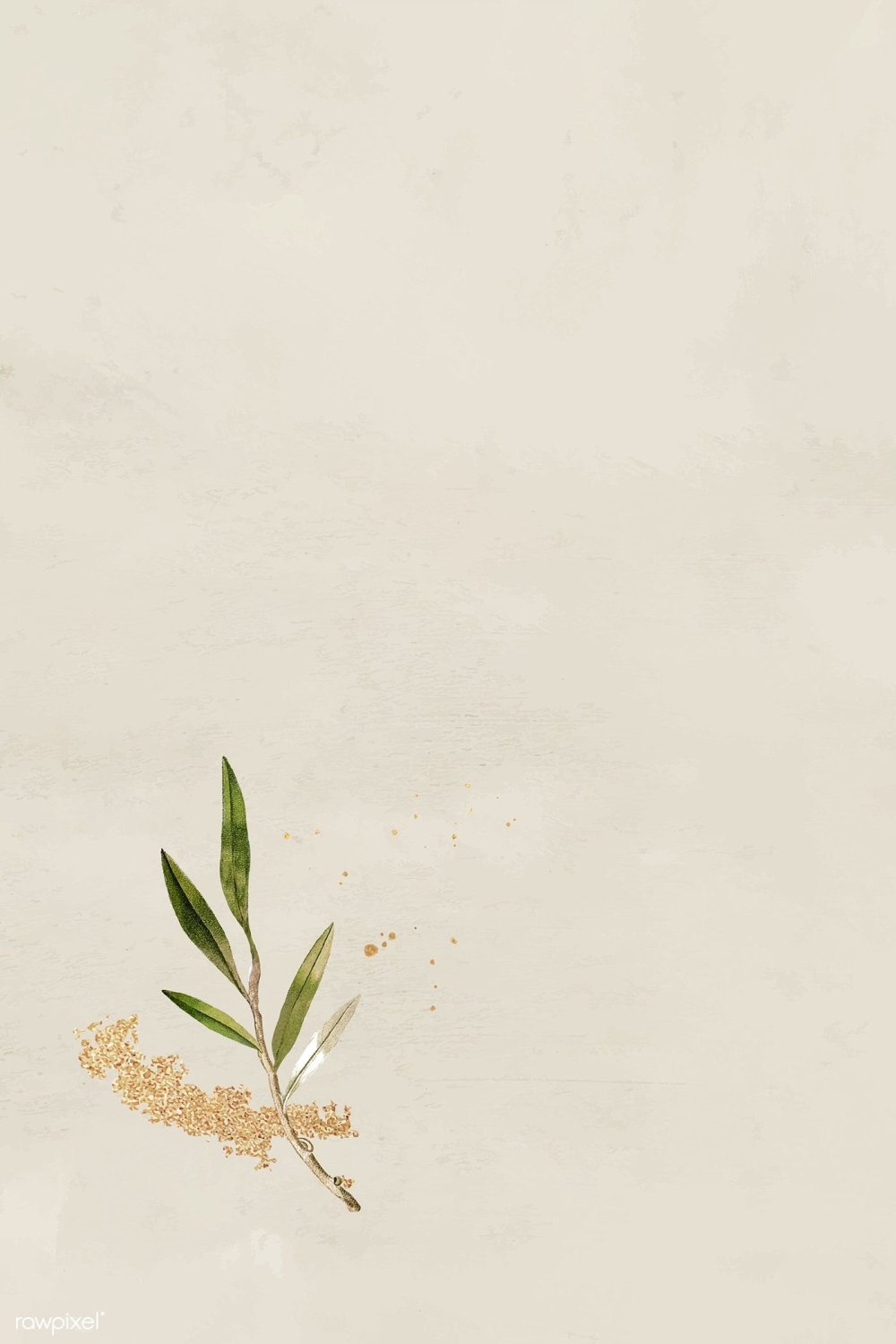 Бежевый фон для сторис