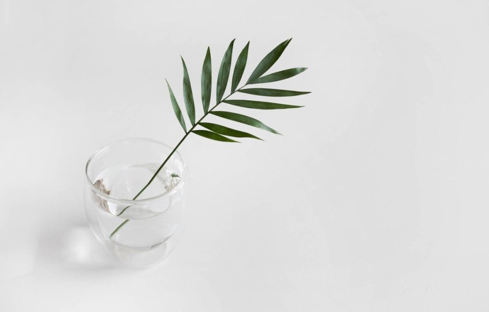 Веточка Минимализм