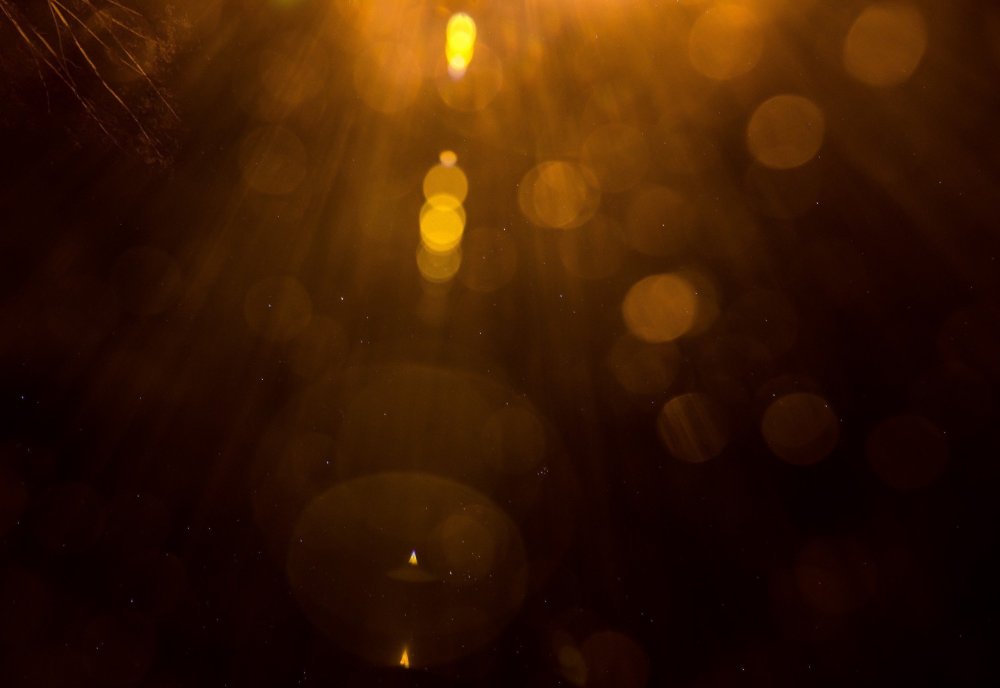 Блик солнца