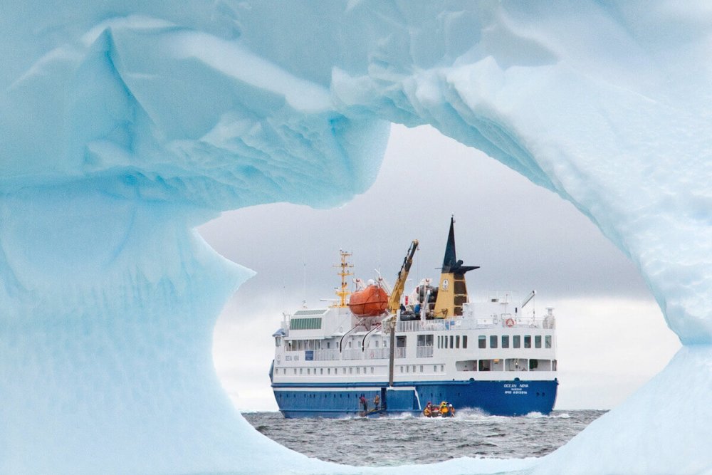 Путешествие в Арктику для детей