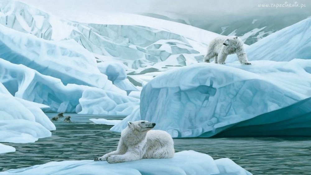 Белые медведи в Арктике