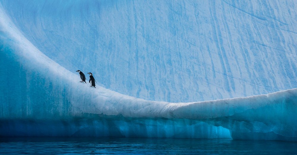 Антарктида фон