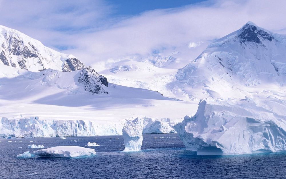 Северный полюс Арктика Антарктику