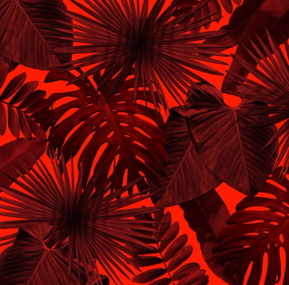 Эстетик красного цвета