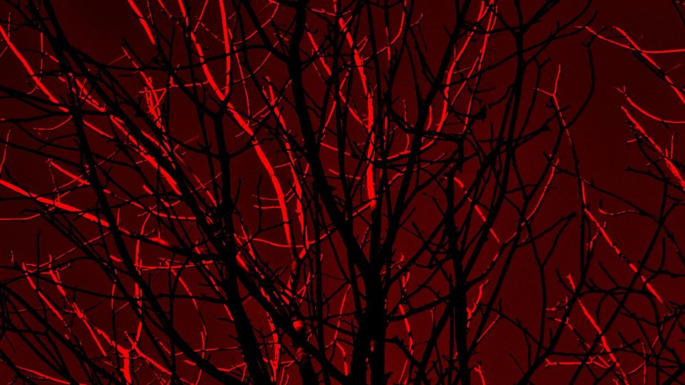 Логотипы красного цвета