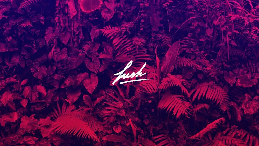 Красно черные обои