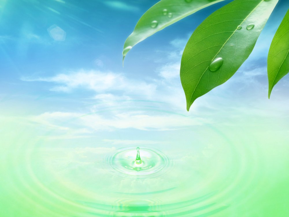 Экология фон