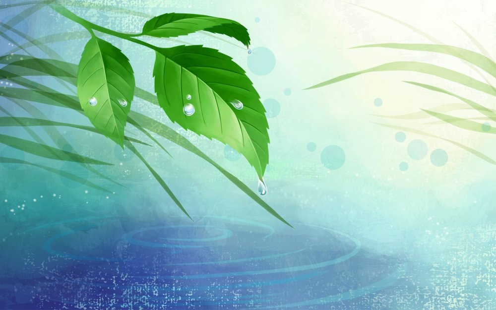 Экологический фон