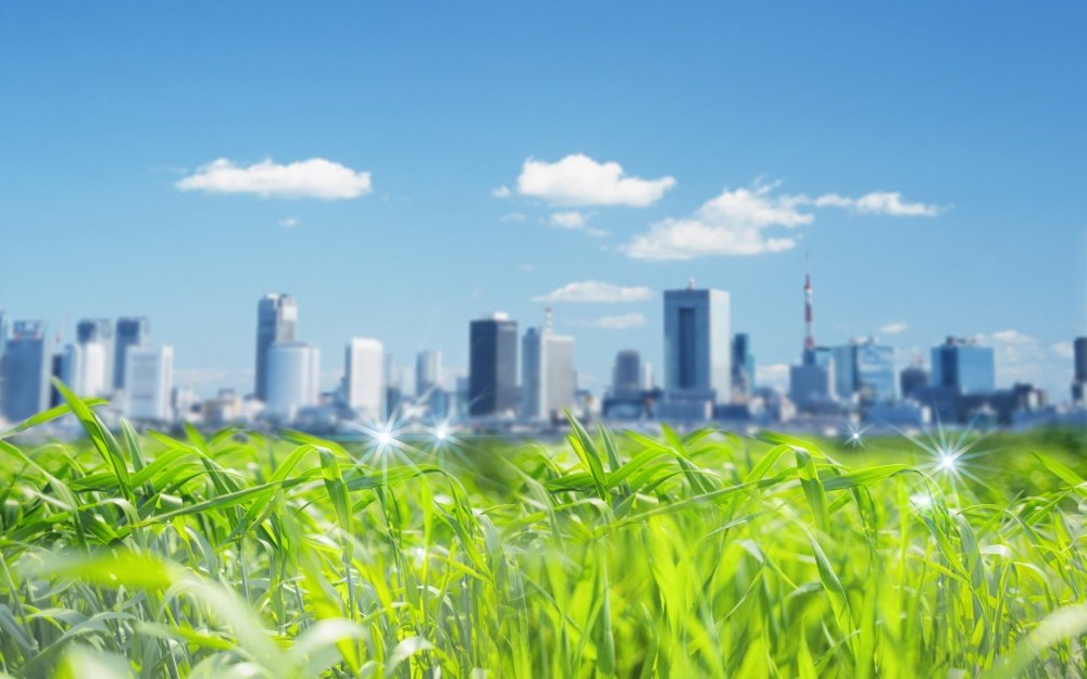 Чистая экология