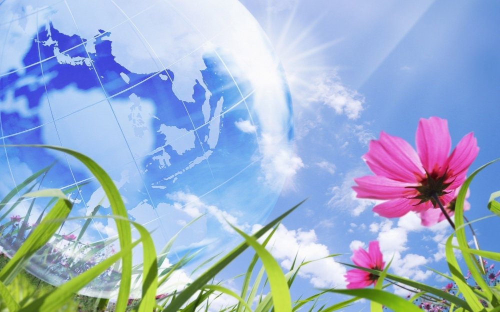 Цветы и небо