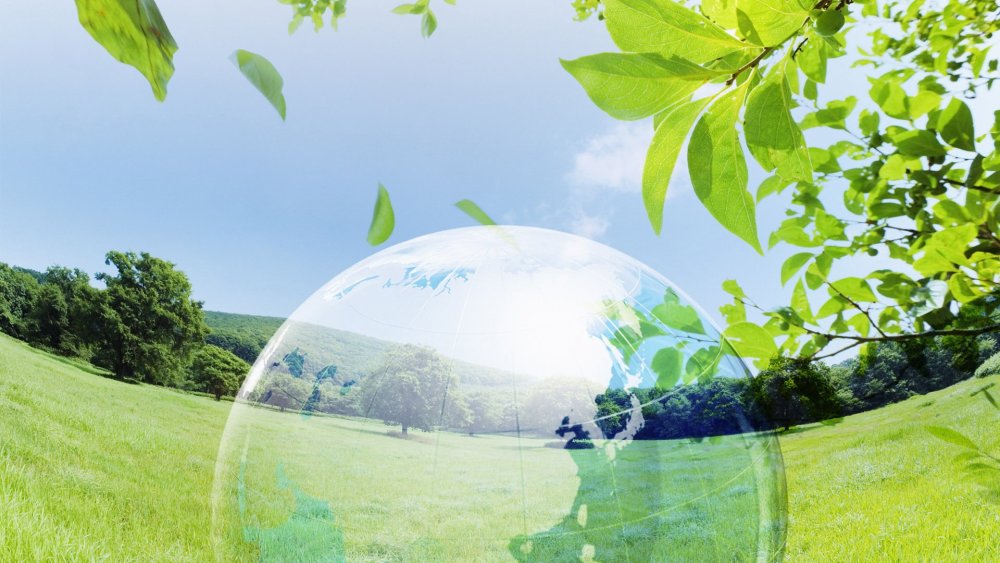 Экология фон