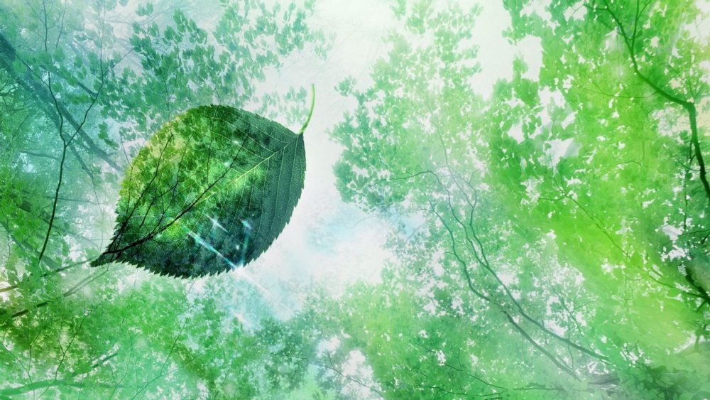 Даниэль Арнон фотосинтез