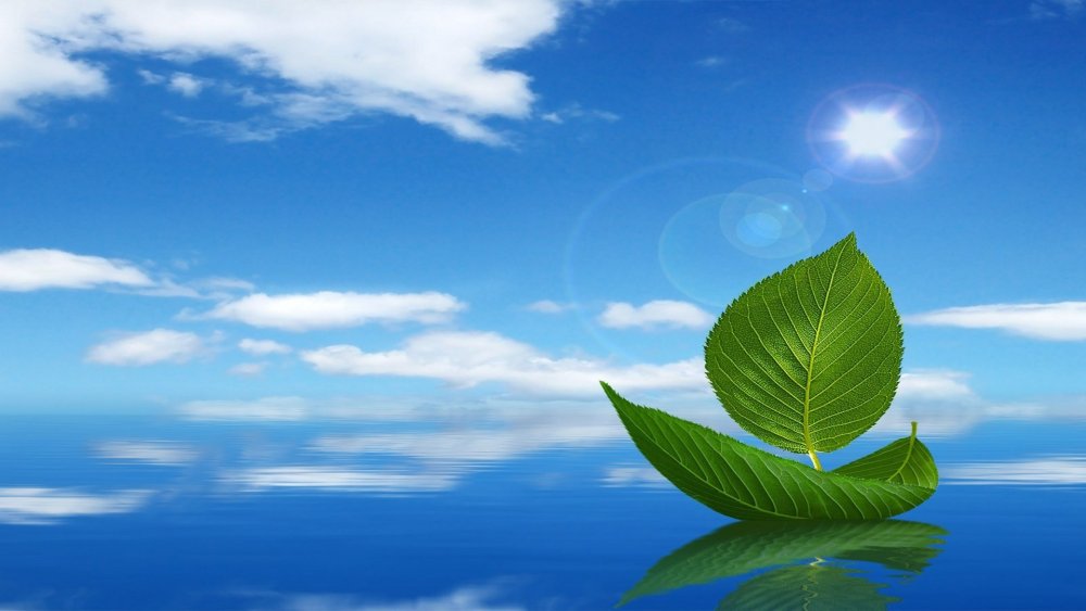 Экология фон