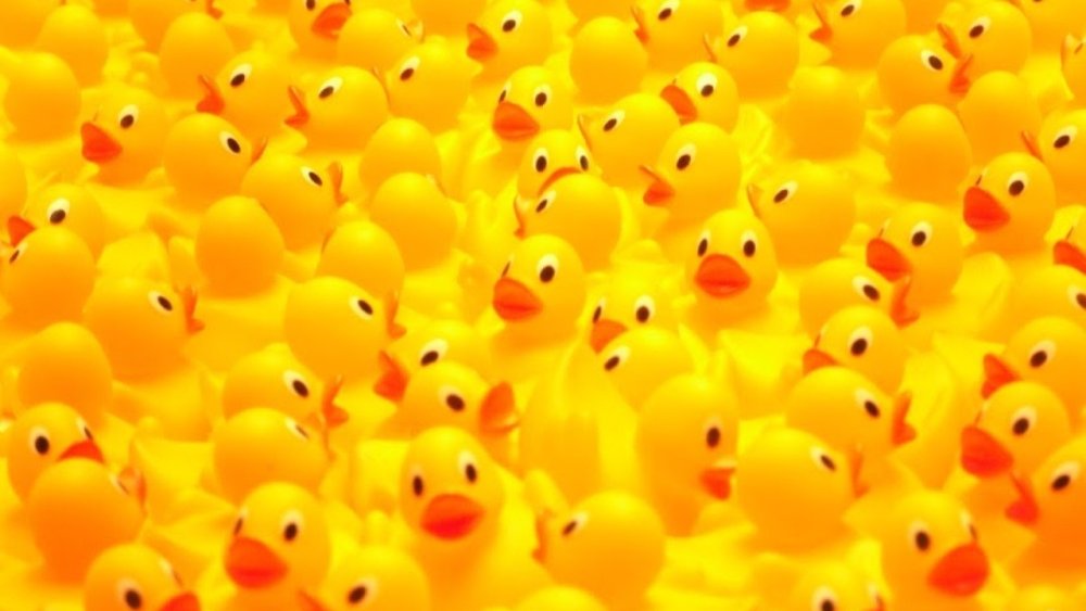 Уточка на желтом фоне