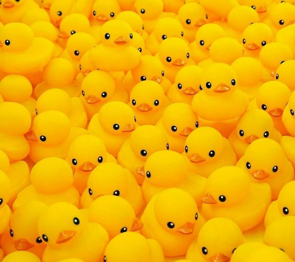Куча резиновых уточек