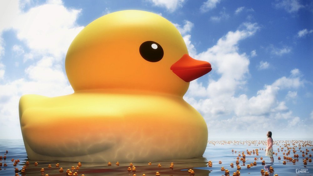 Обои с уткой