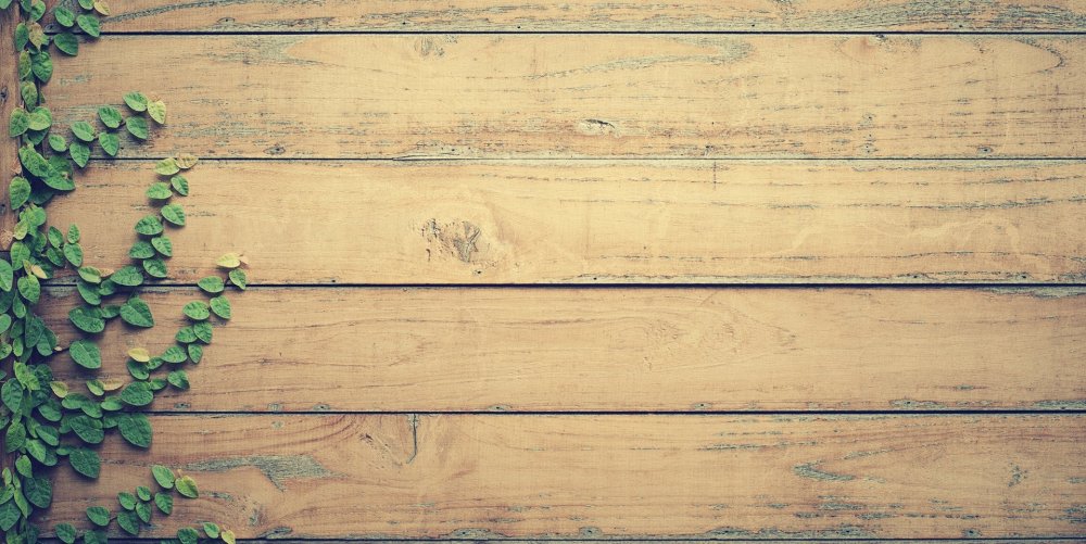 Деревянная стена