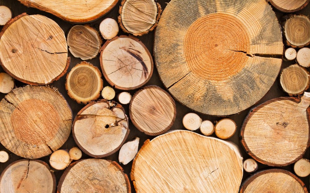 Пиломатериалы на фоне леса