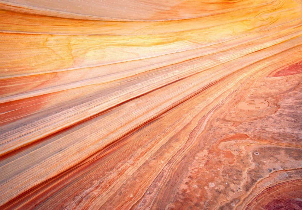 Текстура древесины