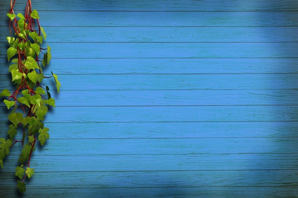 Фотофон цветное дерево