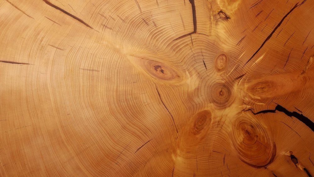 Красивая структура дерева