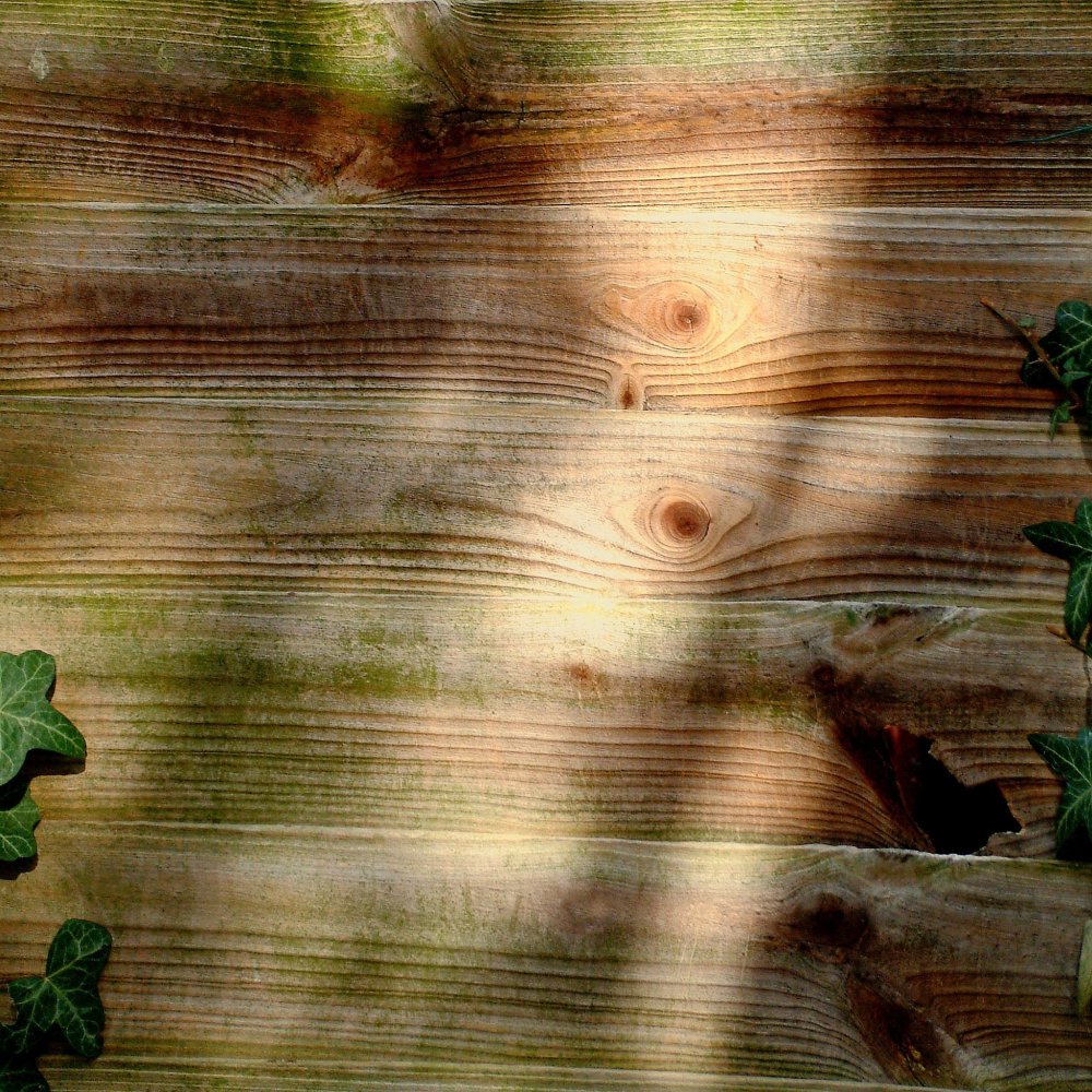 Древесный фон