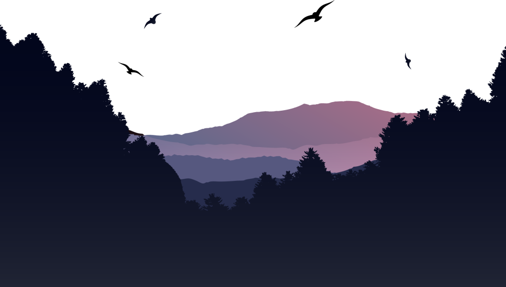 Силуэт путешественника