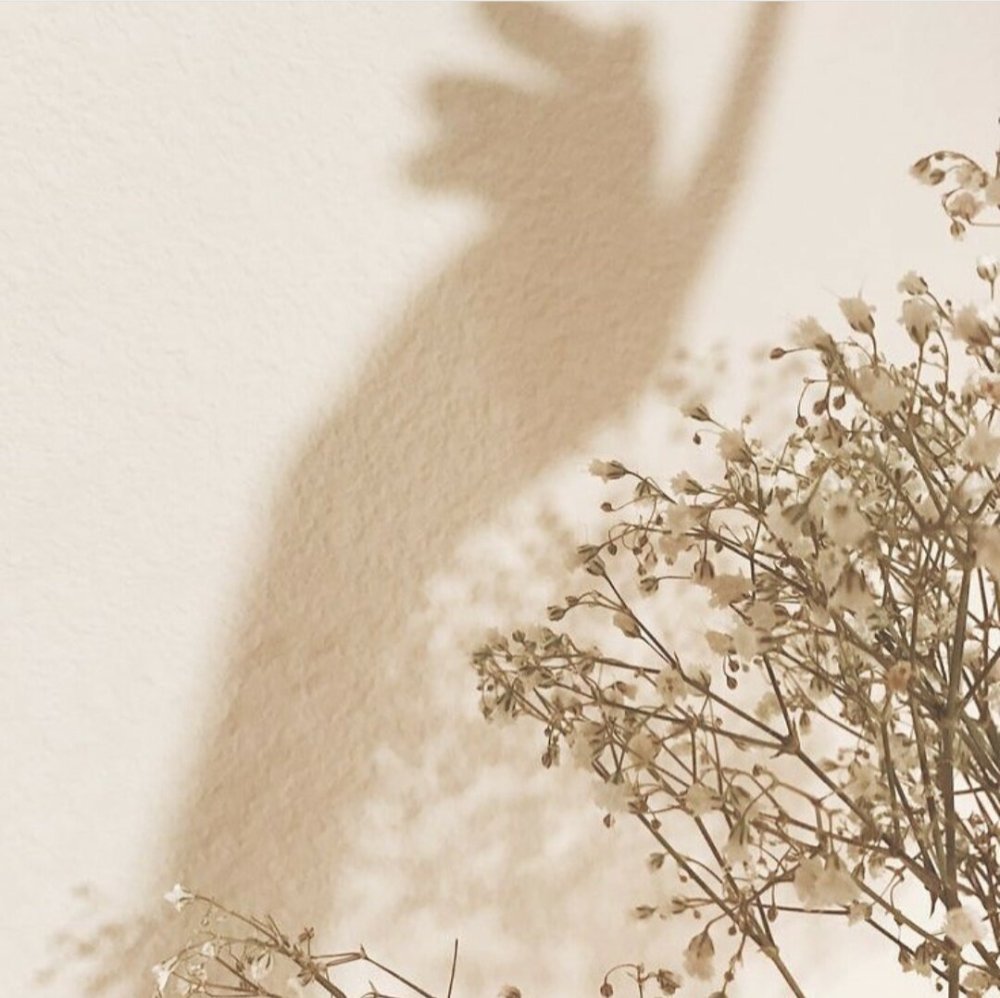 Минималистичные картинки