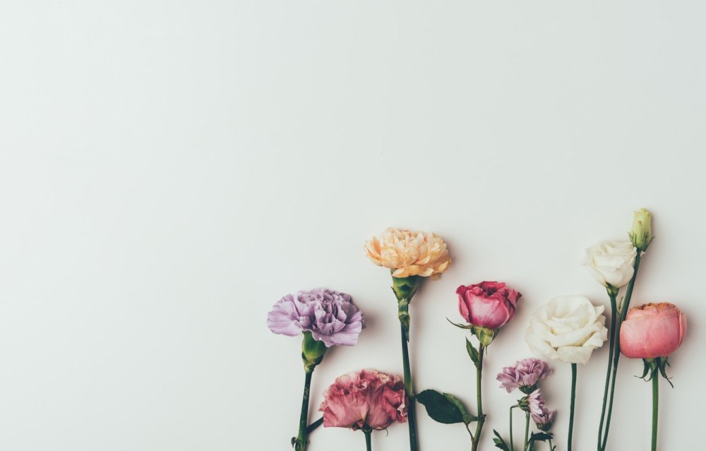 Цветы Минимализм