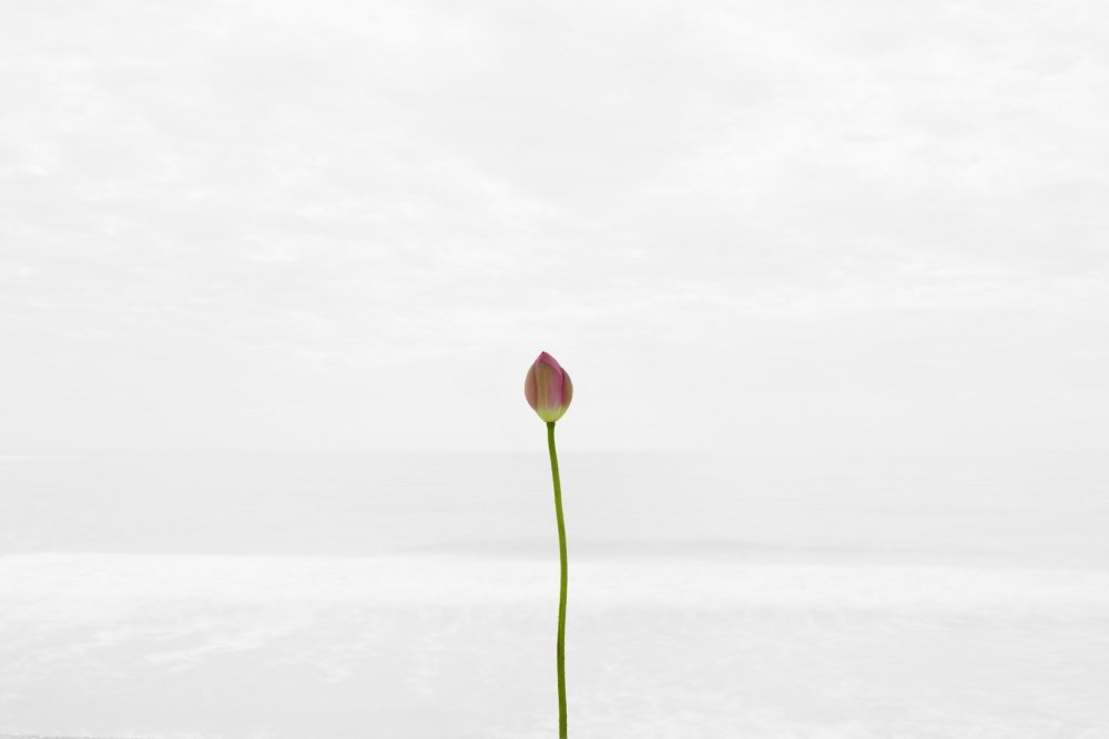 Фон Минимализм