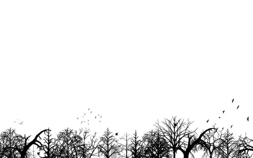 Задний фон чёрно белый