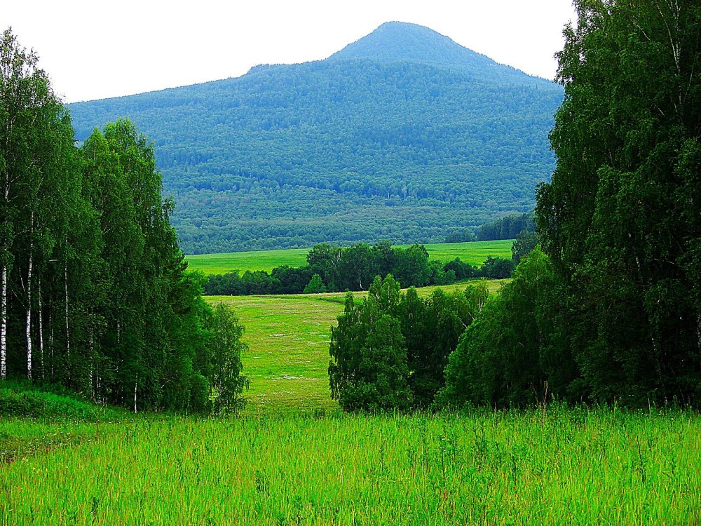 Луга деревни Башкирия