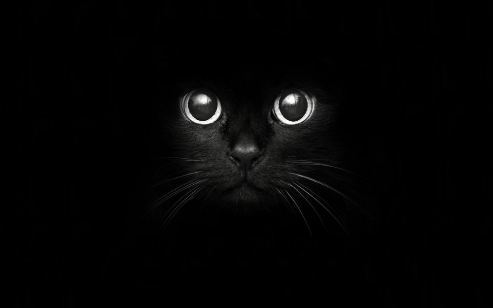 Страшный взгляд девушки